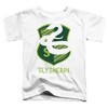Toddler Boys' Harry Potter Slytherin Silhouette Crest T-Shirt - 2 of 4