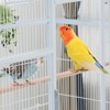 69'' Extra Large Bird Cage Metal Parrot Cage w/Detachable Stand for Mid-Sized Parrots Cockatiels Conures Parakeets Lovebirds Budgie Finch, White - 3 of 4