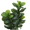 Monarch Specialties Artificial Plant 41 inch Tall Fiddle Tree Indoor Faux Fake Floor Greenery Potted Real Touch Decorative Green Leaves Black Pot - 3 of 4