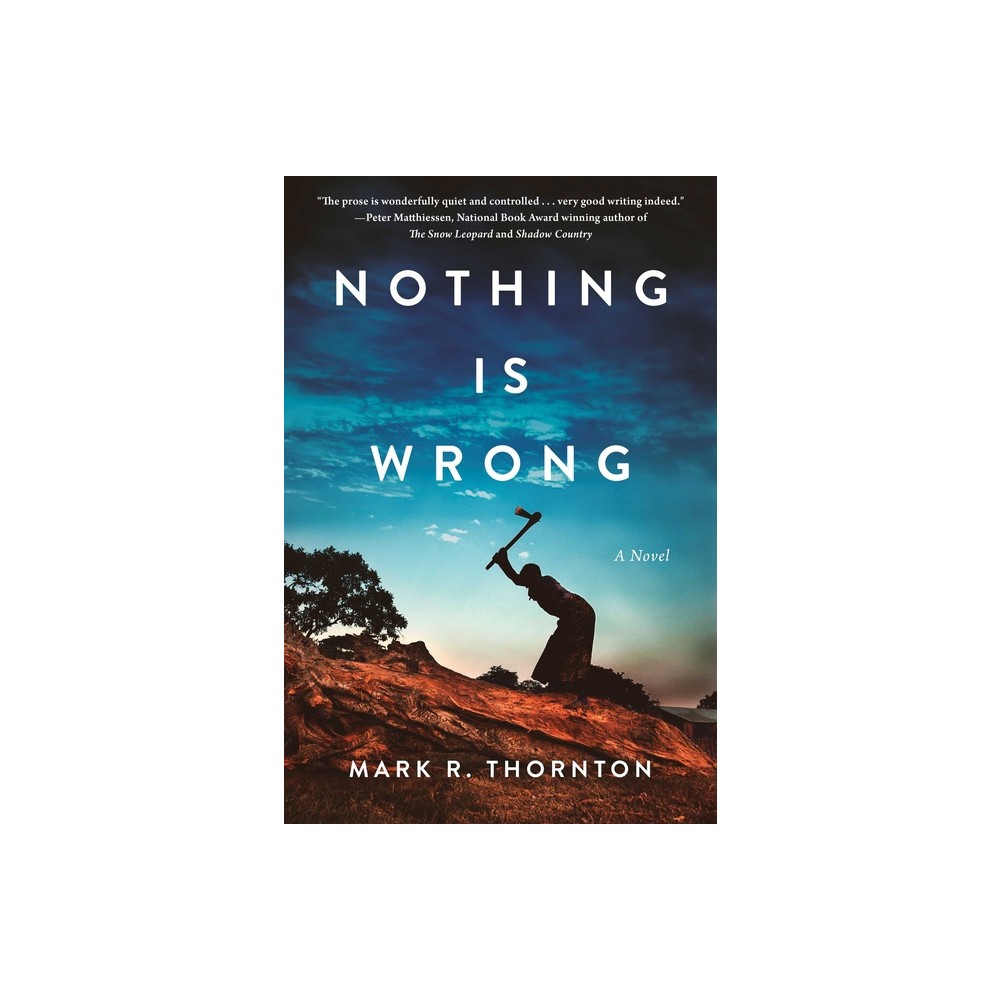 Nothing Is Wrong - by Mark R Thornton (Hardcover)