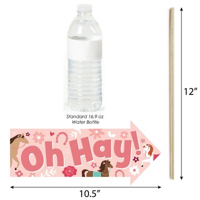 Big Dot of Happiness Funny Run Wild Horses - Pony Birthday Party Photo Booth Props Kit - 10 Piece