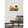 Trends International Fruits Basket - Hatsuharu Soma Framed Wall Poster Prints - 2 of 4