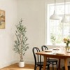 Artificial Olive Tree -Perfect Fake Plant for Yard, Patio, Home, Office (Indoor & Outdoor Arrangement Decor) - 4 of 4