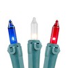 Novelty Lights 100 Light Incandescent Mini Christmas String Lights 50 Feet - 4 of 4