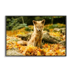 Stupell Industries Sleepy Fall Fox in Autumn Framed Giclee Art - 1 of 4