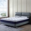 Dexmalle 10 Inch Plush Memory Foam Pocket Spring Hybrid Mattress - 4 of 4