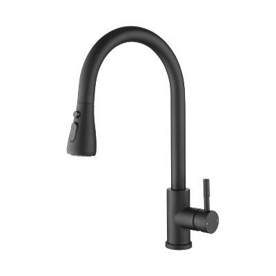DOMETOUR Kitchen Faucet with Pull Out Spraye
