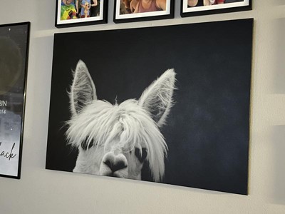 Guest review image 1 of 2, zoom in
