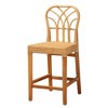 bali & pari Monaco  Counter Height Barstool: Mahogany Frame, No Assembly Required, Fixed Height - 2 of 4