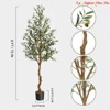 6 ft Artificial Olive Tree Indoor Tall Faux Olive Tree w/Moss Double-Handled Woven Basket Artificial Silk Plant Designed Faux Wood Trunk - 2 of 4