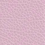 Blush Pink