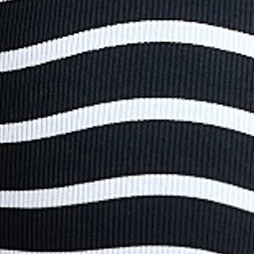 black & white stripe