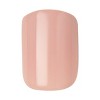 KISS Products Short Square Press-On Fake Nails - Kingdom - 33ct - 4 of 4