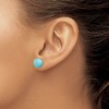 Black Bow Jewelry 10-10.5mm Button Turquoise Sterling Silver Stud Earrings - 3 of 4