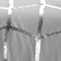 grey/silver