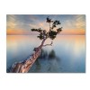Trademark Fine Art-Moises Levy 'Water Tree XIV' Floating Brushed Aluminum Art - 2 of 4