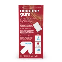 Coated Nicotine 2mg Gum Stop Smoking Aid - Cinnamon - up & up™