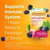 Emergen-C Ashwagandha Drink Mix, Berry Blend, 18 Ct - 2 of 4
