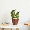 XINGHANZHENXUAN Brown 2-Pack Plastic Planter Pots, Wood-Look Design for Indoor, Outdoor Plants - 4 of 4