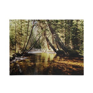 Kevin Russ East Inlet Creek 18" x 24" Poster - Society6 - 1 of 2