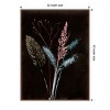 Amanti Art Bouquet 4 Dark by Pernille Folcarelli Framed Canvas Wall Art - 4 of 4