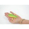 Grasshopper, Locusts, Rubber Insect, Realistic Figure, Lifelike, Model, Replica, Toy, Kids, Educational, Gift,     4 1/2 Inches    ABC10 B263 - 3 of 4