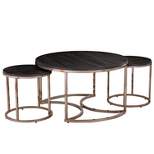 3pc Linder Round Nesting Coffee Tables Champagne - Aiden Lane