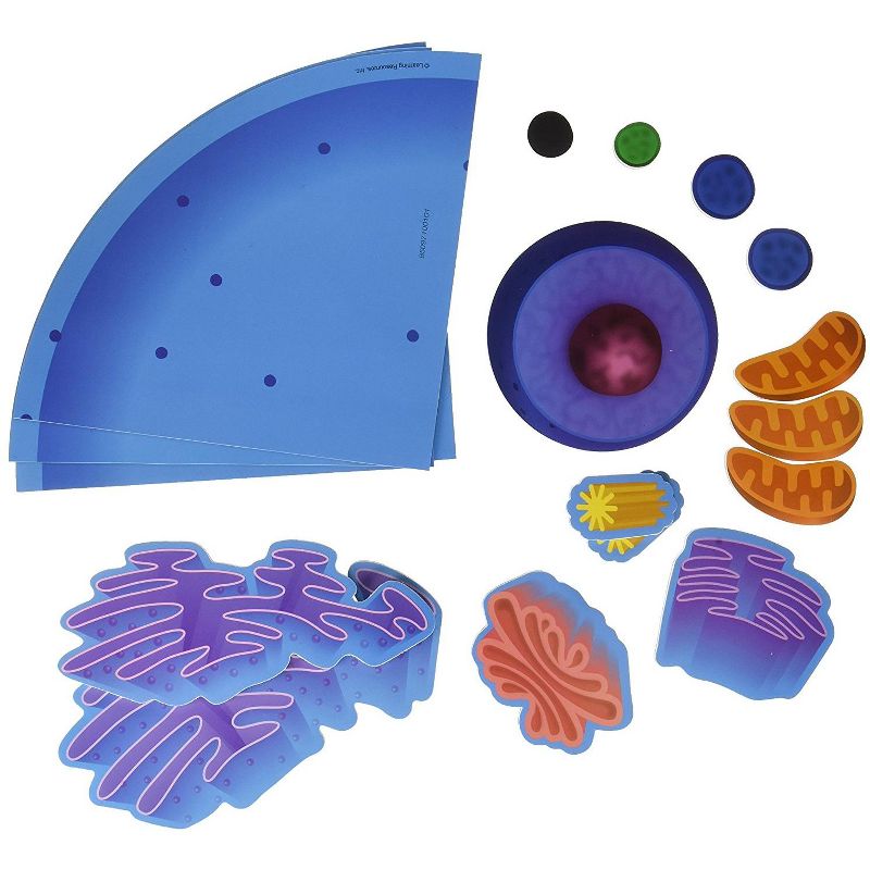 Learning Resources Giant Magnetic Animal Cell, 18 Piece Set, Ages 5+, 1 of 5