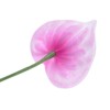 Unique Bargains Artificial Anthurium Lily Flowers for Home Decor 10 Pcs - 4 of 4