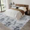 Plush Fuzzy Rugs Ultra Soft Fluffy Furry Rugs Non Slip Non Shedding Area Rug Indoor Carpet Nursery Rugs for Kids Room Bedroom Home Decor - 3 of 4