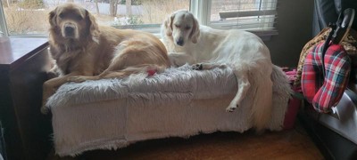 Guest review image 1 of 5, zoom in