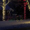 ProductWorks Pro-Line LED AnimotionYard Decoration Outdoor Indoor Holiday Lawn Ornament Decoration with Lights and Stakes - 4 of 4