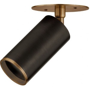 Troy Lighting Caleb 1 - Light Flush Mount in  Patina Brass/Bronze Clear Shade - 1 of 1