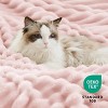 Bedsure Ultra-Plush Fleece Blanket - Warm Winter Blanket for Bed, Soft Home Decor Throw for Couch, All-Season Coziness - 4 of 4