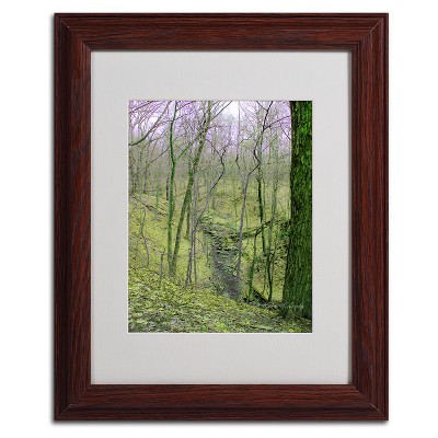 Trademark Fine Art -Kathie McCurdy 'Surreal Woods' Matted Framed Art