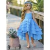 Pretty Petal Blues Tiered Dress Mia Belle Girls - 2 of 4