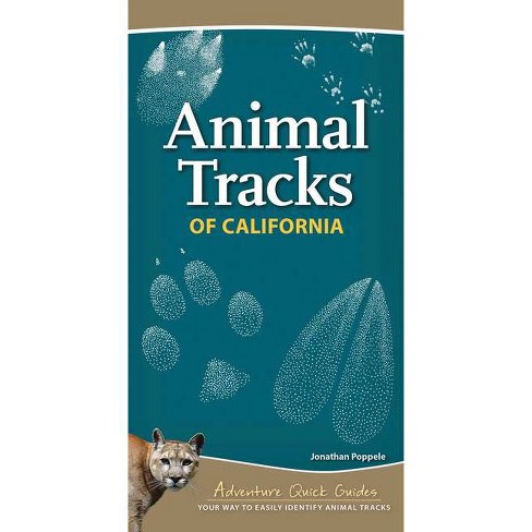 Animal Tracks of California