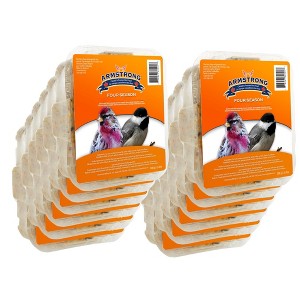 Armstrong Wild Bird Food Four Season Suet Cake, 11.3oz (Pack of 12) - 1 of 4