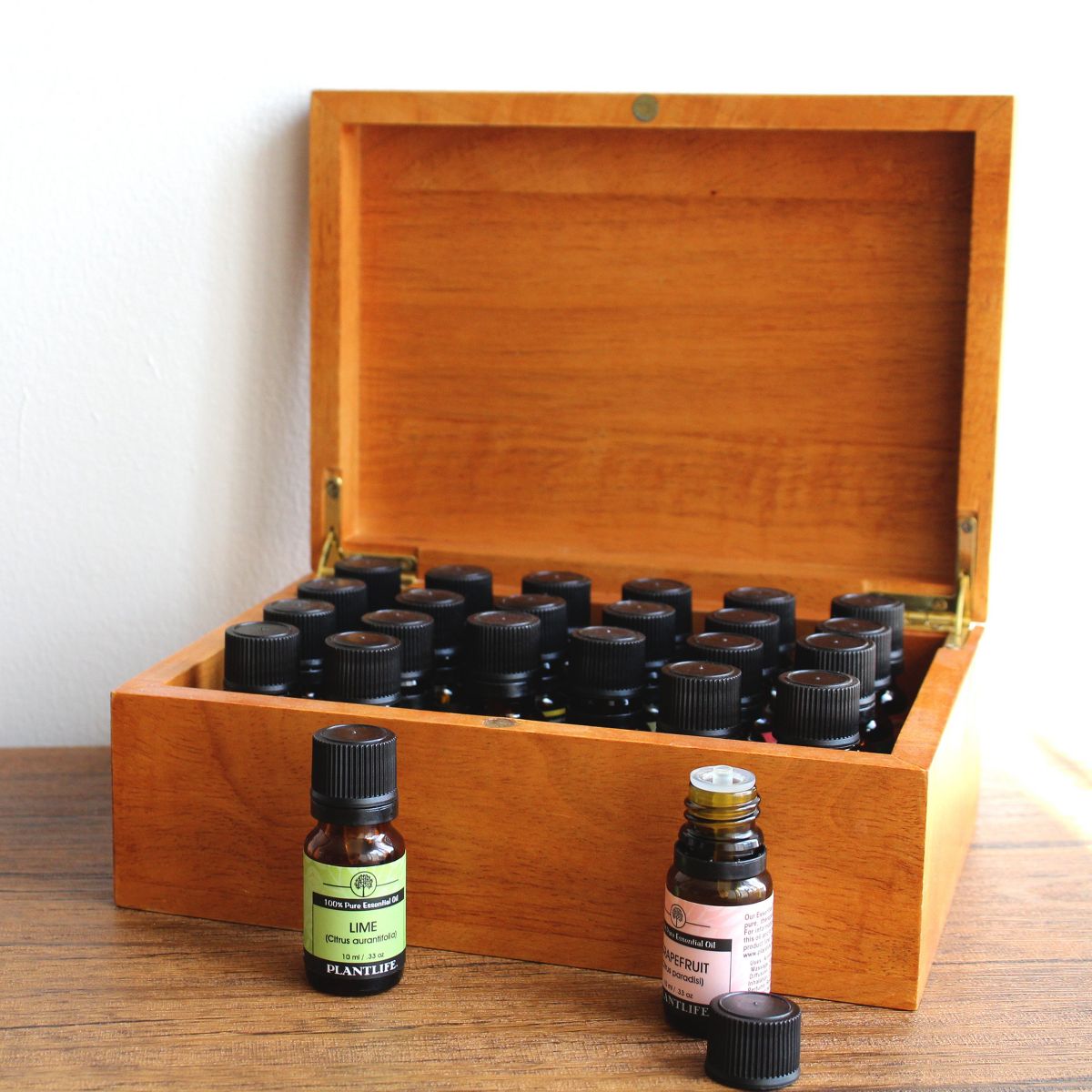 Plantlife Coriander Aromatherapy Essential Oil – 100% Pure, Therapeutic Grade, No Additives or Fillers, 10 ml - thumbnail 3