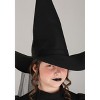 HalloweenCostumes.com Toddler Wizard of Oz Wicked Witch Costume, Wicked Witch of the West Outfit for Movie Cosplay & Halloween - 2 of 4