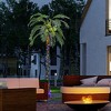 Outsunny 7' Artificial Lighted Palm Tree with 5 Coconuts, Color Changing Light Up Tropical Palm Tree with Remote for Outdoor, Pool, Green - 2 of 4