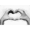Trends International Reinders: Romantic Black & White - Love Sign Unframed Wall Poster Print Clear Push Pins Bundle 22.375" x 34" - 4 of 4