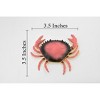 Collectible Wildlife Gifts | Crab, Dungeness Crab, Rubber, Crustaceans, Realistic, Hand Painted,  Figurine,  Gift,        3 1/2"     F6001 B378 - 3 of 4