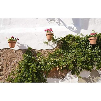4-Inch Terracotta and Black Metal Wall Planters Set