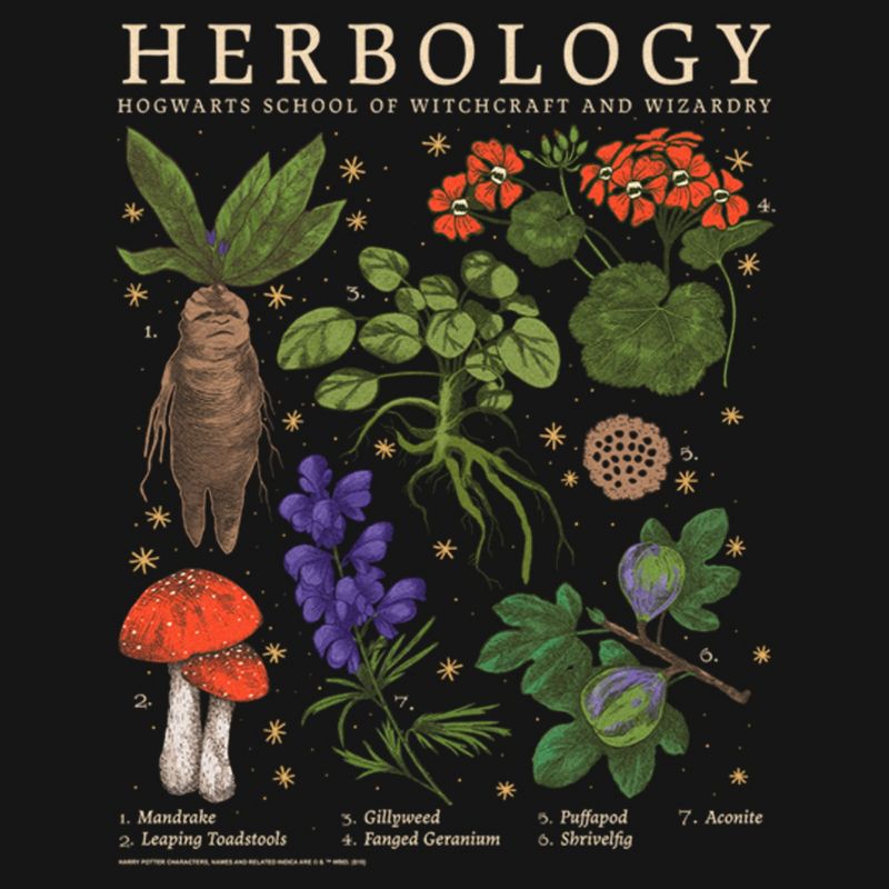 Women's Harry Potter Hogwarts Herbology T-Shirt, 2 of 4