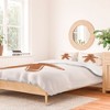 Orara Studio Gingerbread Man I Duvet Cover + Pillow Sham(s) - Deny Designs - 2 of 4