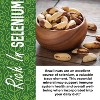 Herbaila Raw Brazil Nuts, 2 lb (32 oz) – Unsalted, Shelled, Whole, All Natural, Non-GMO, Vegan - 4 of 4