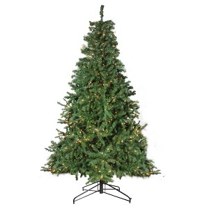 Northlight Pre-Lit Two-Tone Canadian Pine Artificial Christmas Tree - 12' - Warm White Lights - 1 of 4