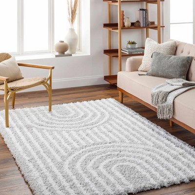 Hauteloom Akela Shag Area Rug
