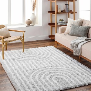 Hauteloom Akela Shag Area Rug - 1 of 4